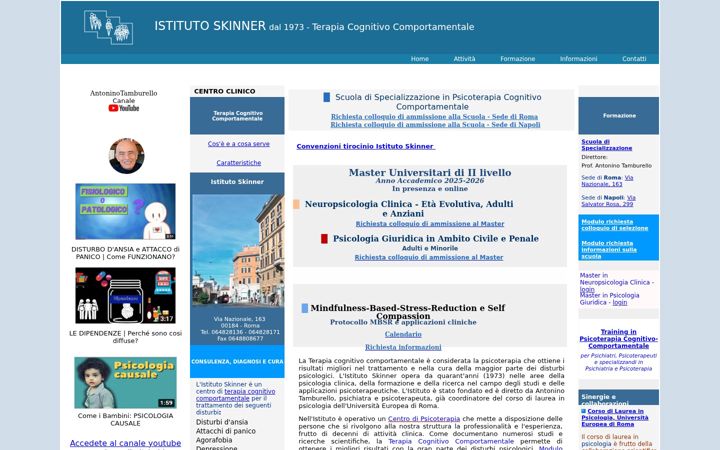 Screenshot of istituto-skinner.it