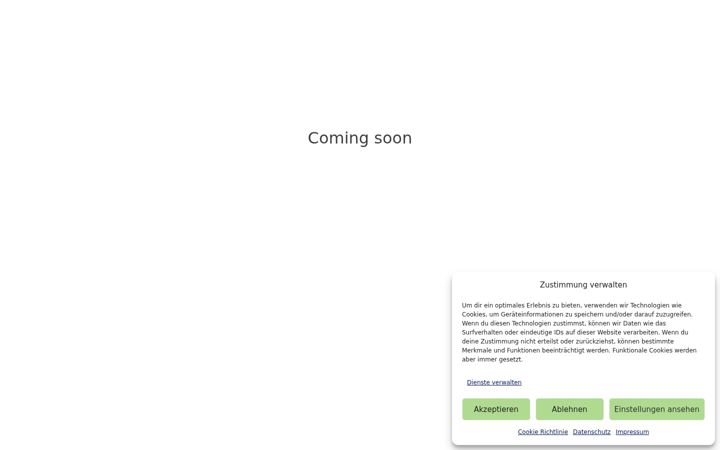 Screenshot of it-dienstleistung-ulm.de