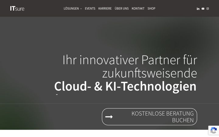 Screenshot of it-sure.de
