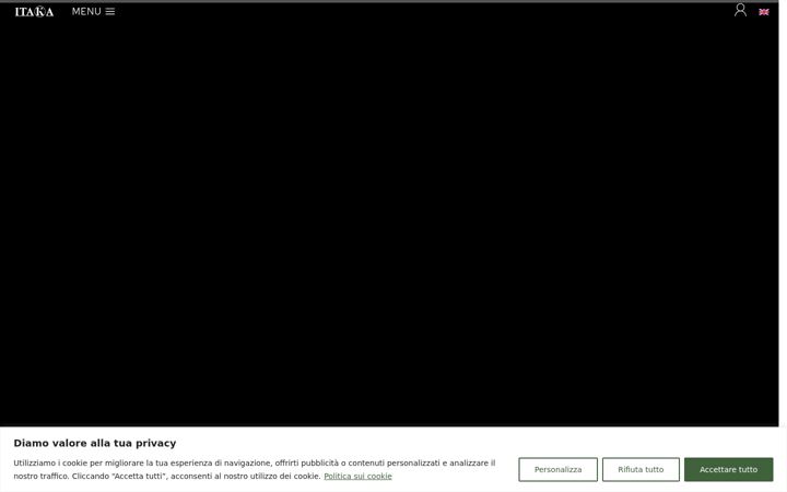 Screenshot of itakasolution.com