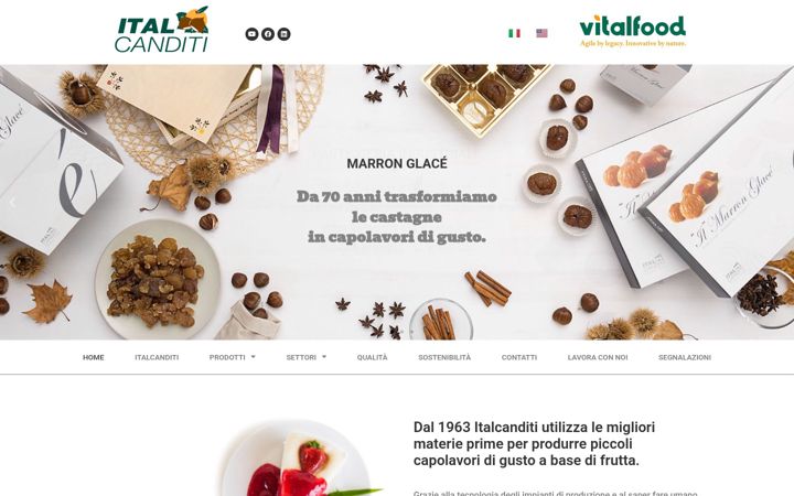 Screenshot of italcanditi.it