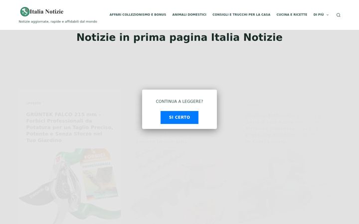 Screenshot of italiadelnoi.it