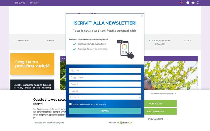 Screenshot of italianberry.it