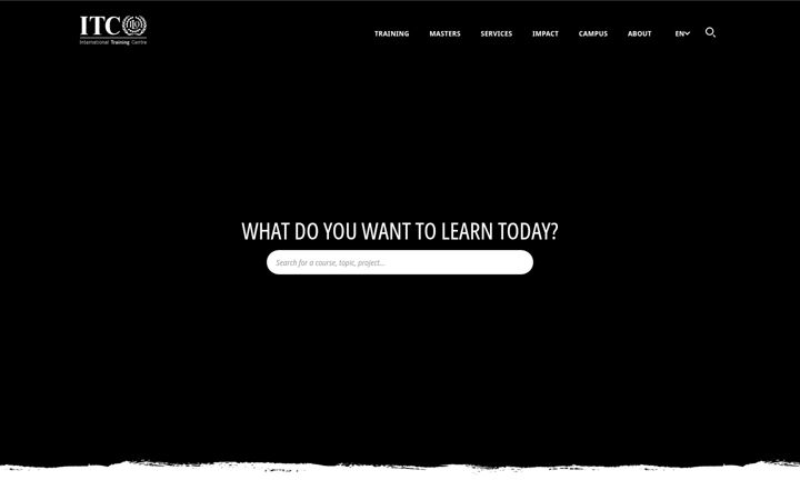 Screenshot of itcilo.org