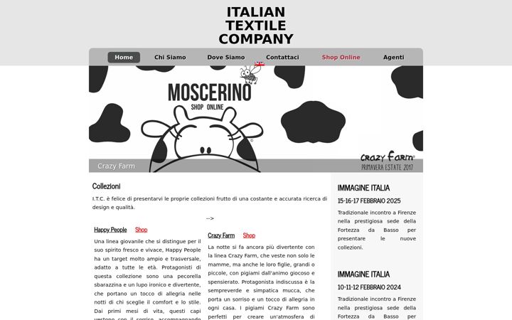Screenshot of itcsrl.net