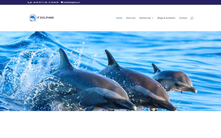 Captura de pantalla de itdolphins.nl