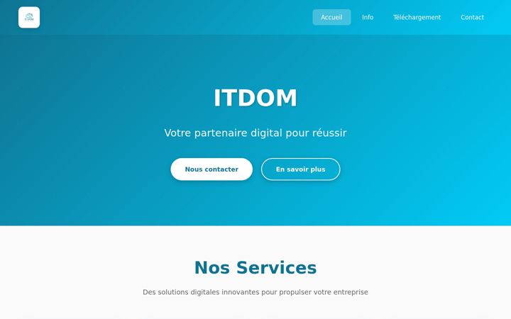 Screenshot of itdom.fr
