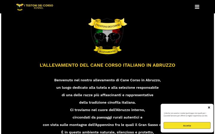 Screenshot of itestonideicorso.it