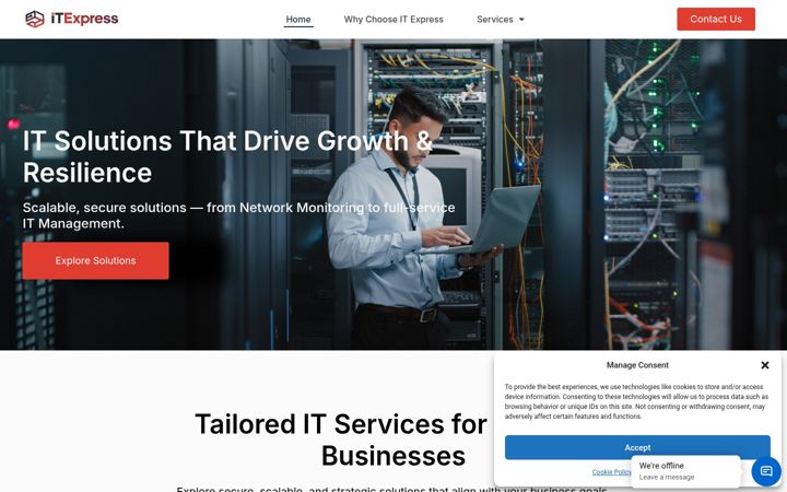 Screenshot of itexpressmn.com