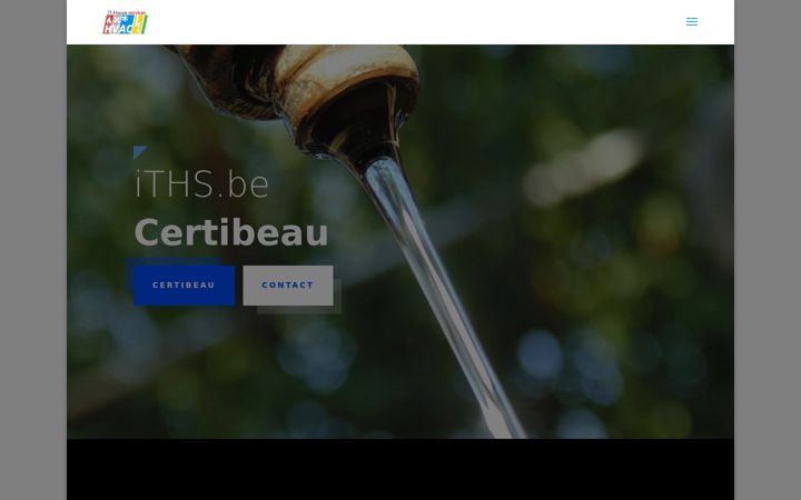 Screenshot of iths.be