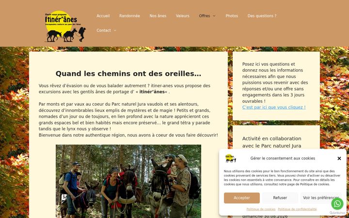 Screenshot of itiner-anes.ch