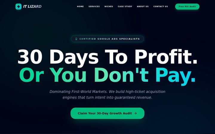 Screenshot of itlizard.com