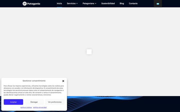 Screenshot of itpatagonia.com