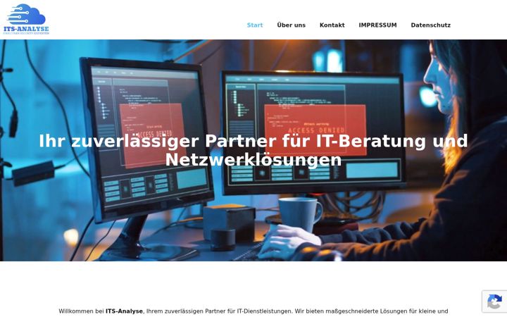 Screenshot of its-analyse.de