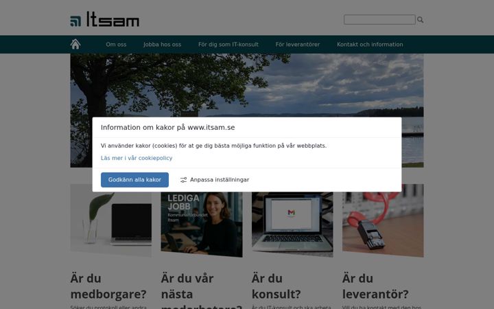 Screenshot of itsam.se