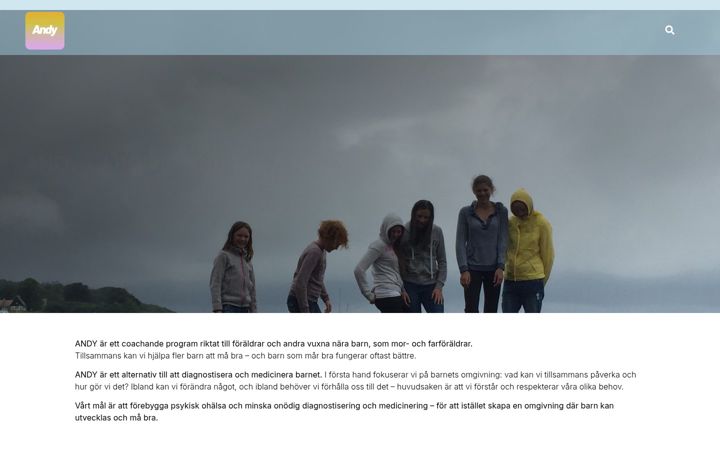 Screenshot of itsandy.se