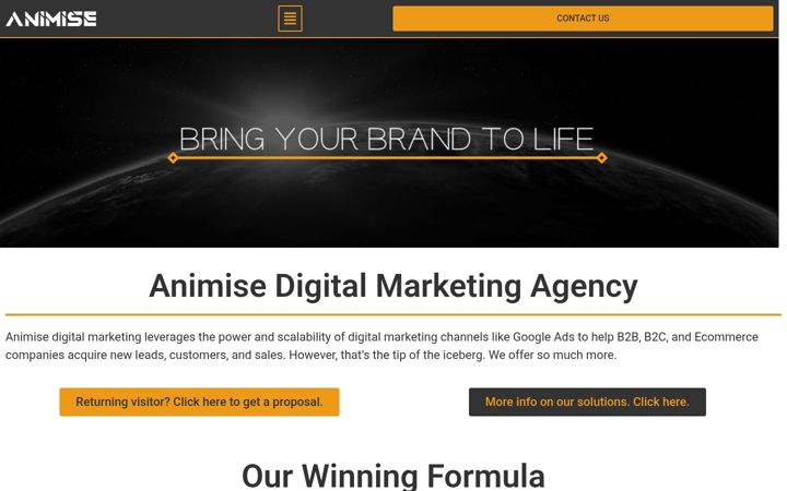 Screenshot of itsanimise.com