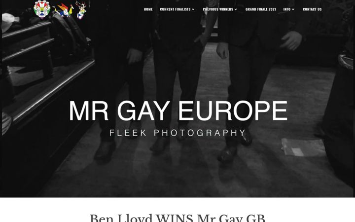 Screenshot of itsmrgay.com