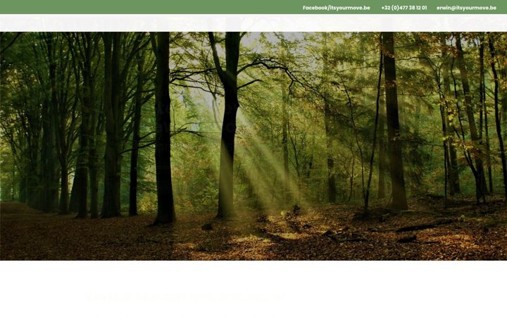 Screenshot of itsyourmove.be