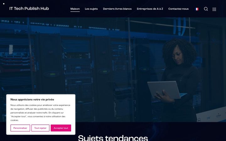 Screenshot of ittechpublishhub.fr