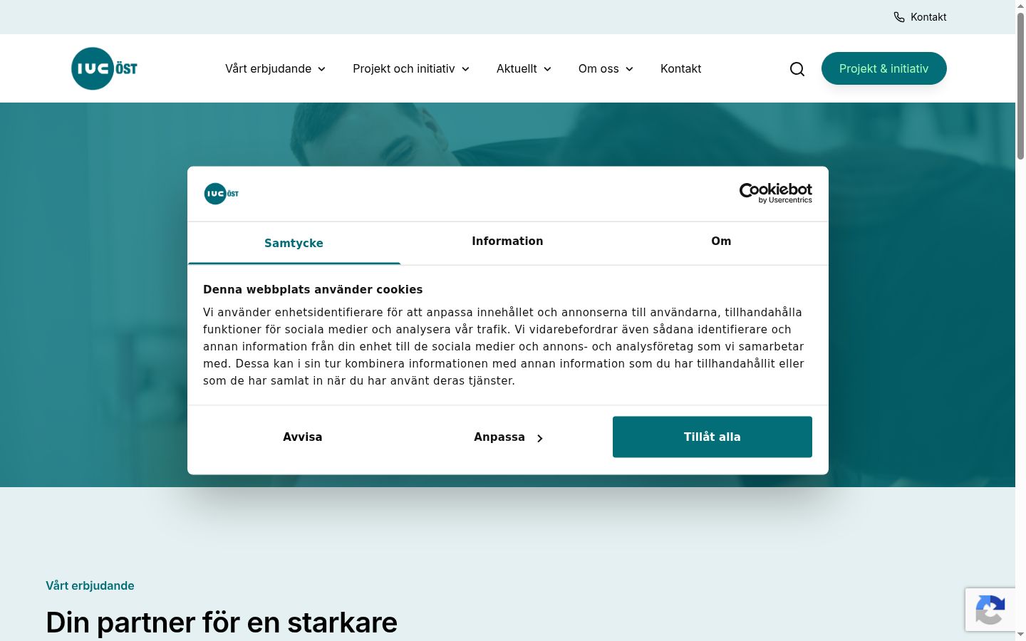 Skærmbillede af samtykkebanneret, som det blev vist før nogen interaktion