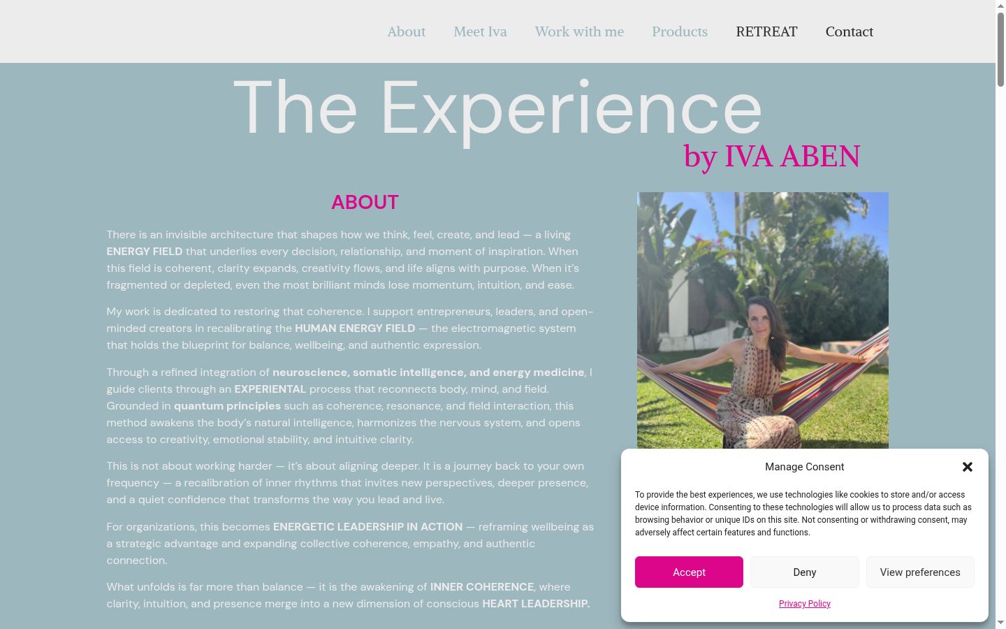 Screenshot of the consent banner shown before any interaction