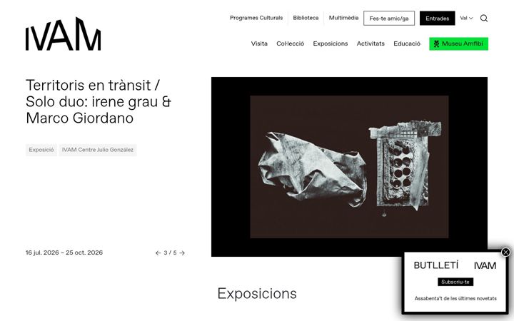 Screenshot of ivam.es