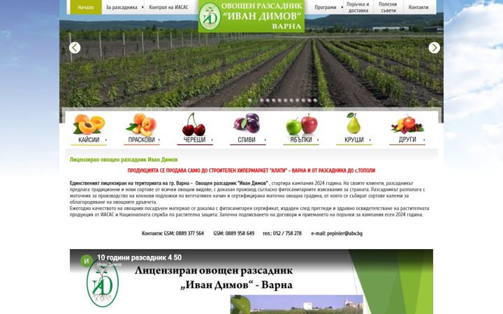 Screenshot of ivandimov.net