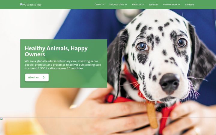 Screenshot of ivcevidensia.com