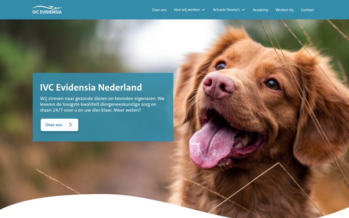 Screenshot of ivcevidensia.nl