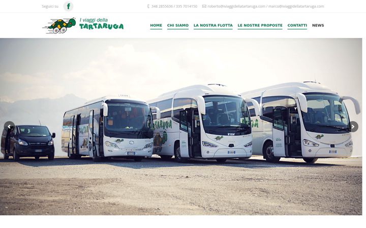 Screenshot of iviaggidellatartaruga.com