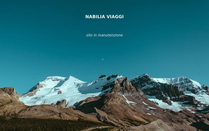 Screenshot of iviaggidinabilia.it