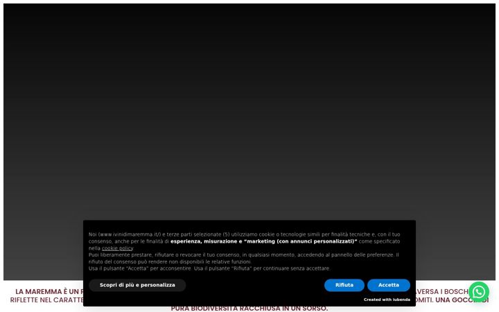 Screenshot of ivinidimaremma.it