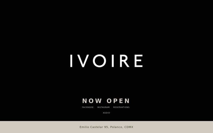 Screenshot of ivoirepolanco.com