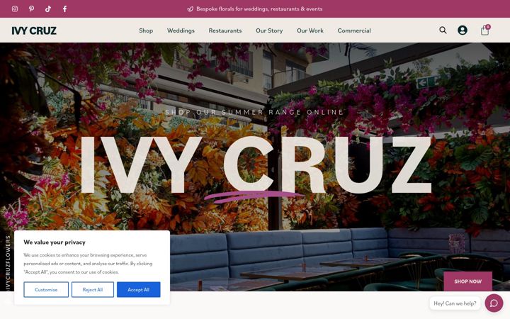 Zrzut ekranu ivycruz.com