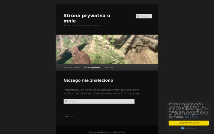 Screenshot of iwaszewski.com