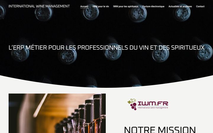 Screenshot of iwm.fr