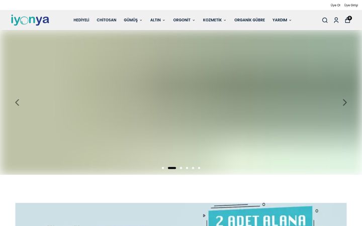 Screenshot of iyonya.com.tr