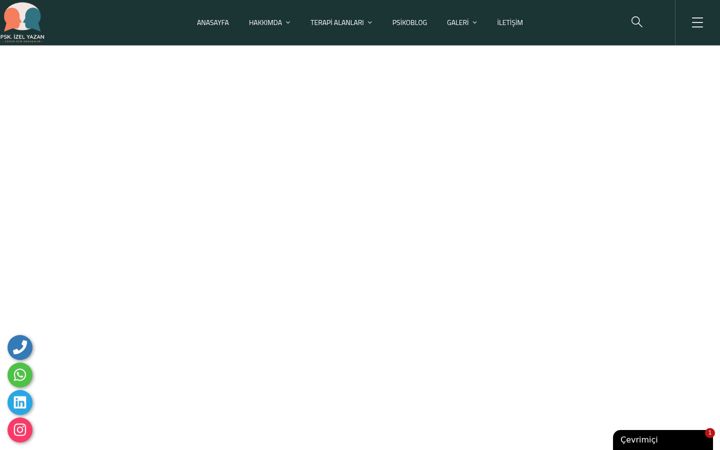 Screenshot of izelyazan.com