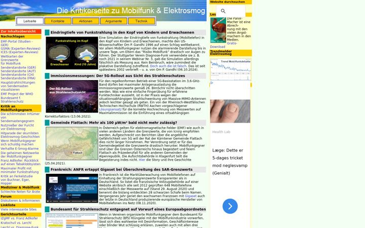 Screenshot of izgmf.de