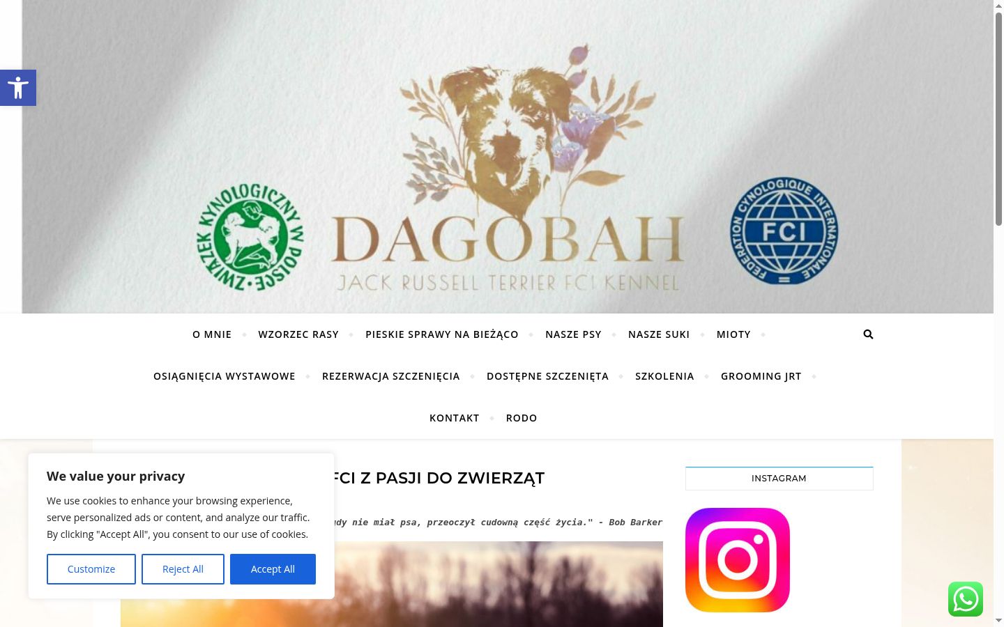 Captura de ecrã do banner de consentimento apresentado antes de qualquer interação