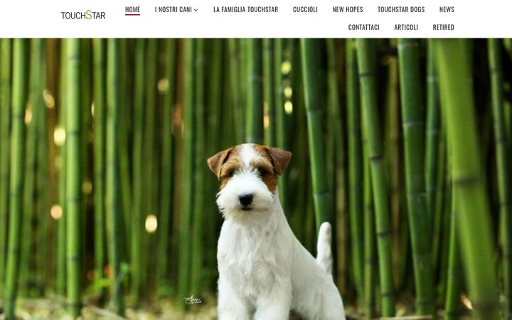 Screenshot of jackrussell.it
