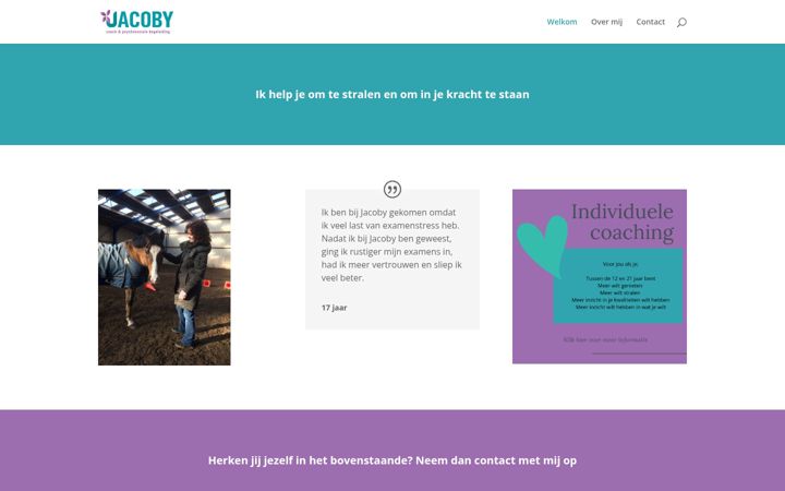 Screenshot of jacobykleinnijenhuis.nl