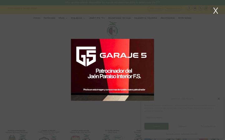 Screenshot of jaenfs.es