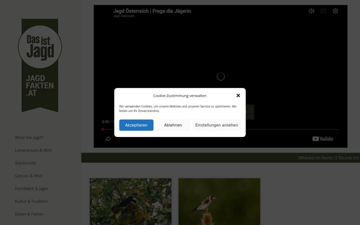 Screenshot of jagdfakten.at