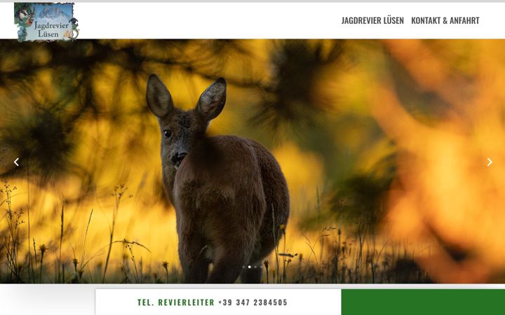 Screenshot of jagdrevier-luesen.com