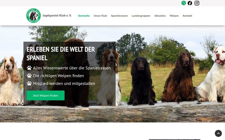 Screenshot of jagdspaniel-klub.de