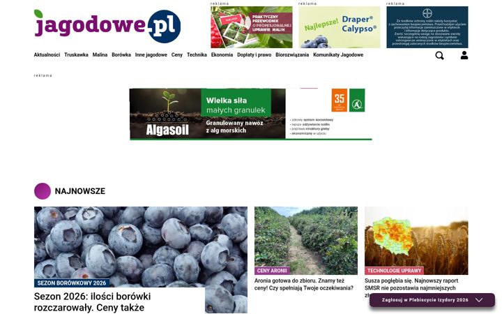Screenshot of jagodowe.pl