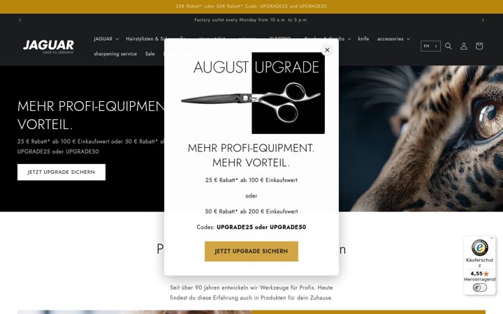Screenshot of jaguar-solingen.com