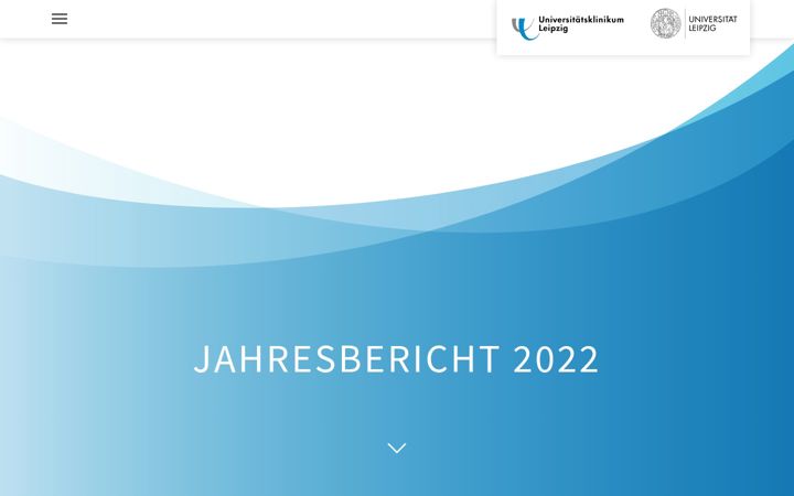 Screenshot of jahresbericht-2022.de